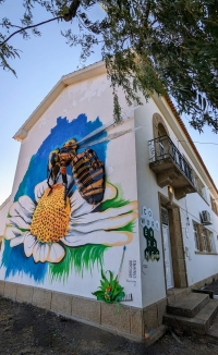 ABELHA | ARTE URBANA | FREGUESIA DE ENXAMES