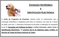 VACINAÇÃO ANTIRRÁBICA E IDENTIFICAÇÃO ELECTRÓNICA DE CANÍDEOS
