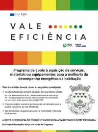 APOIO NA SUBMISSÃO DE CANDIDATURAS AO PROGRAMA VALE EFICIÊNCIA II