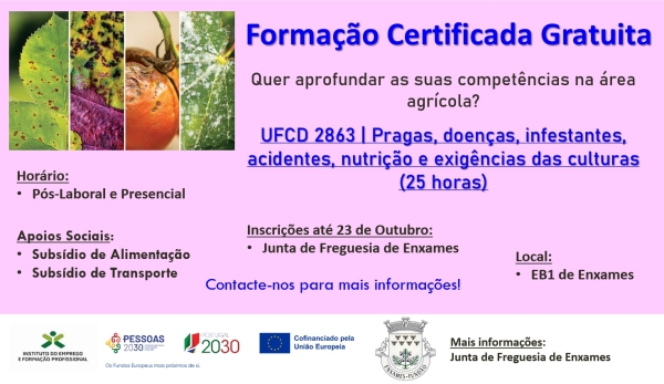 FORMAÇÃO CERTIFICADA GRATUITA | PRAGAS, DOENÇAS, INFESTANTES, ACIDENTES, NUTRIÇÃO E EXIGÊNCIAS DAS CULTURAS