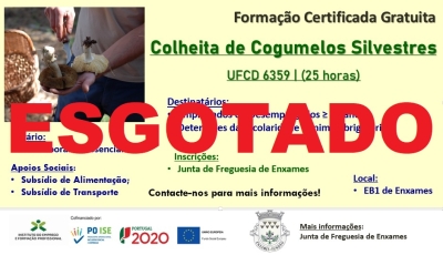 INSCRIÇÕES ESGOTADAS | FORMAÇÃO PROFISSIONAL GRATUITA - COLHEITA DE COGUMELOS SILVESTRES