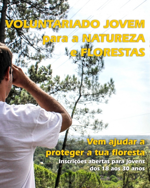 Inscrições para o Programa Voluntariado Jovem para a Natureza e Florestas - 2021