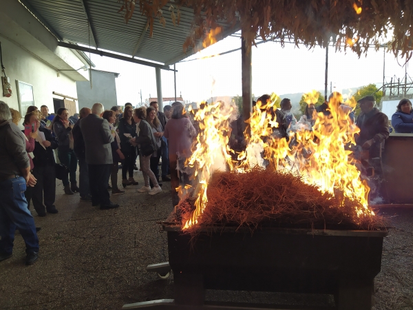 Magusto 2019
