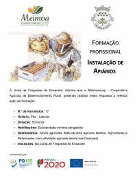 Formação Profissional - Instalação de Apíarios
