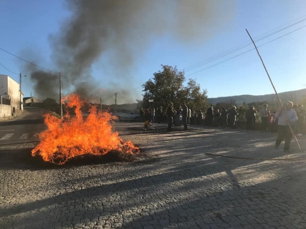 Magusto tradicional | 14 de novembro de 2021