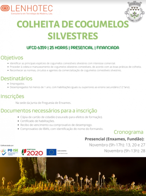 FORMAÇÃO - COLHEITA DE COGUMELOS SILVESTRES (Financiada) -  FREGUESIA DE ENXAMES