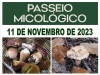Passeio Micológico