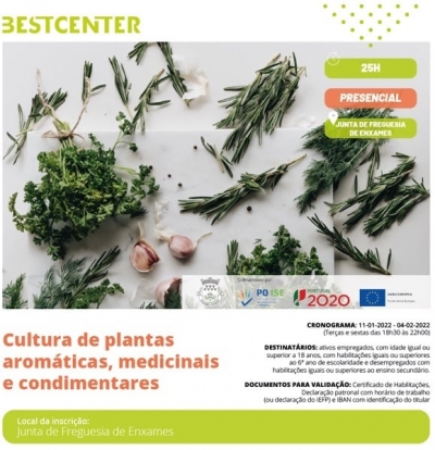 FORMAÇÃO - CULTURA DE PLANTAS AROMÁTICAS, MEDICINAIS E CONDIMENTARES (Financiada)