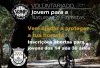 PROGRAMA VOLUNTARIADO JOVEM PARA A NATUREZA E FLORESTAS 2024  |  INSCRIÇÕES ABERTAS