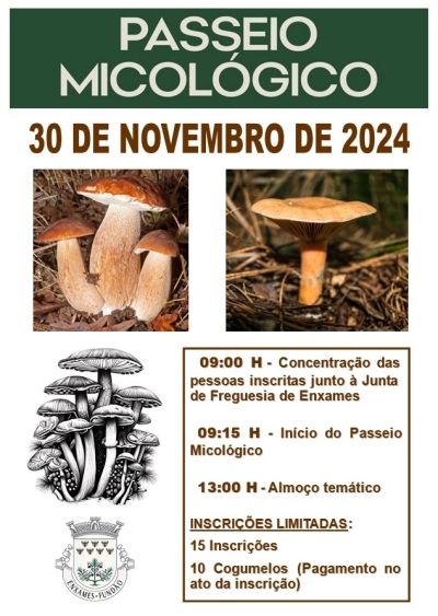 PASSEIO MICOLÓGICO - CAMINHAR, IDENTIFICAR E DEGUSTAR | 30 DE NOVEMBRO