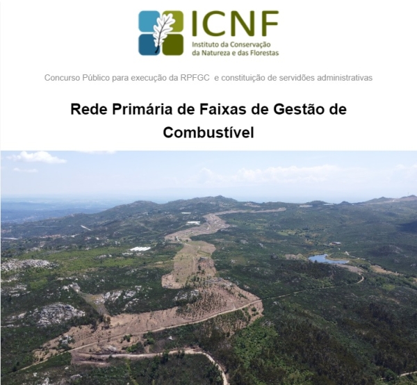 EXECUÇÃO DA REDE PRIMÁRIA DE FAIXAS DE GESTÃO DE COMBUSTÍVEL